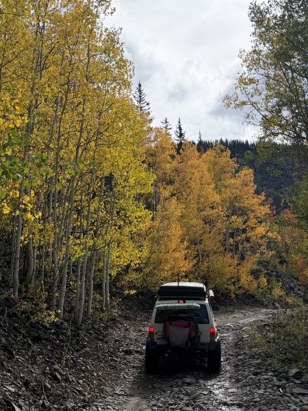 Ian against Fall colors