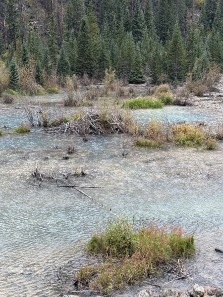 Beaver House 1