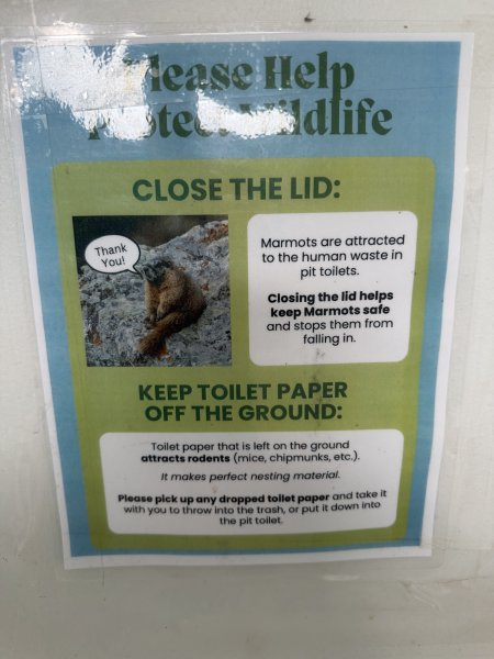 Always Check Before you Sit